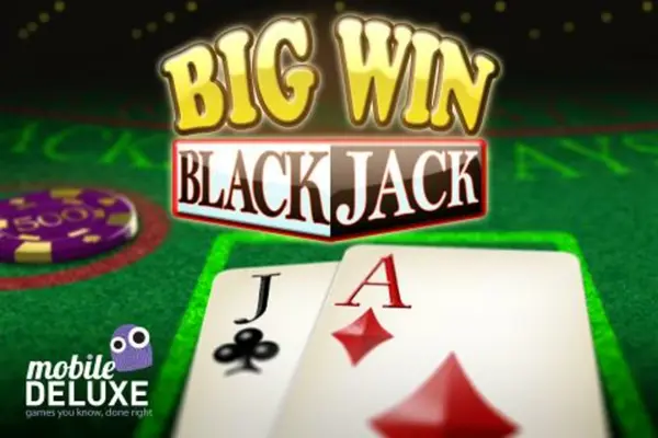 Big Win Blackjack android App screenshot 0